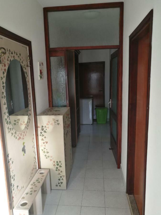 Apartments Krzelj 沃迪切 外观 照片
